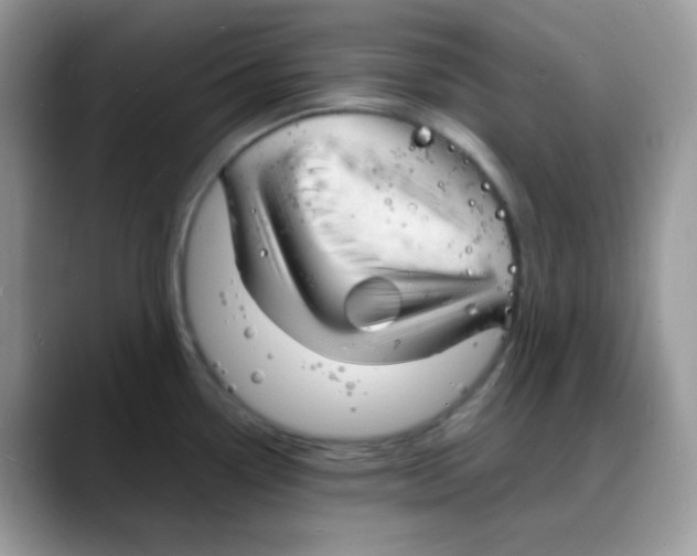 X0000088131338200706111400