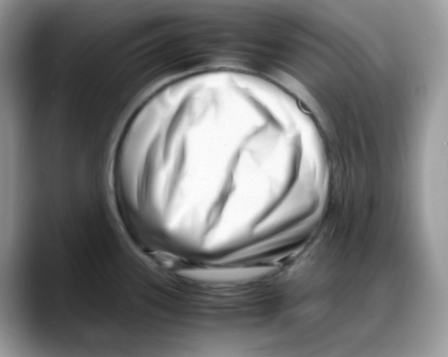 X0000088131339200706111400