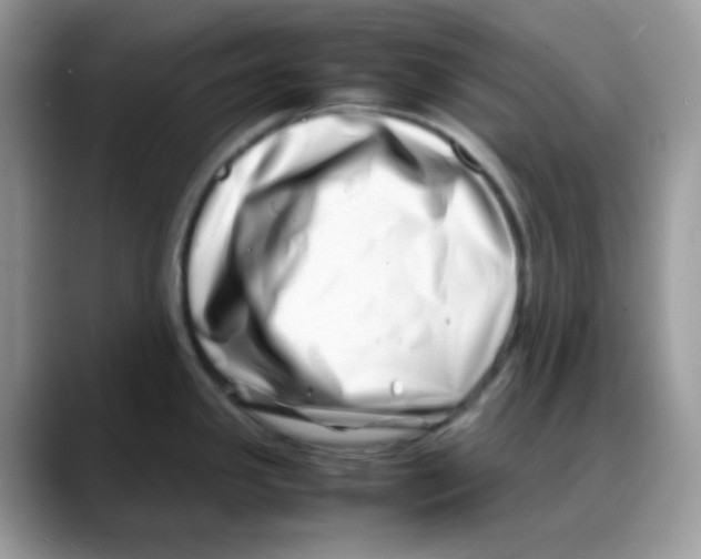 X0000088131341200706111400