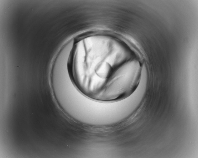 X0000088131342200706111400