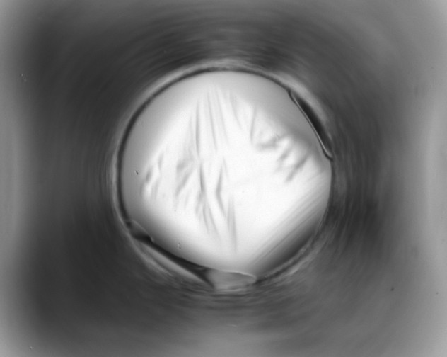 X0000088131343200706111400