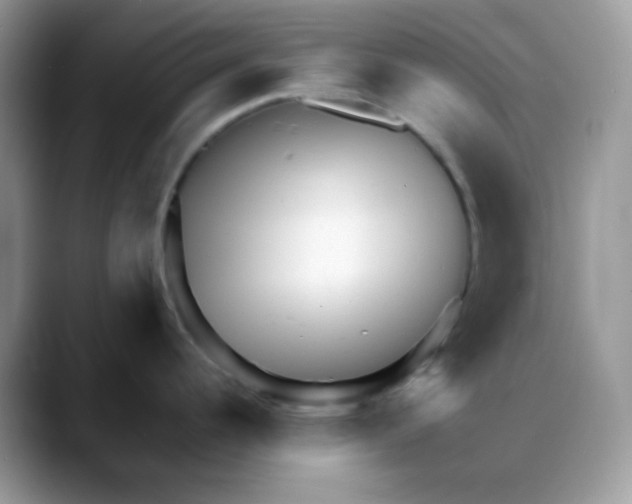 X0000088131344200706111400