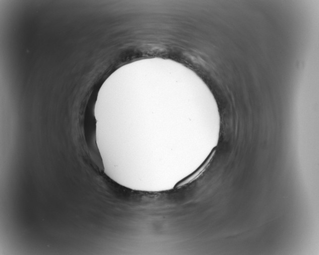 X0000088131345200706111400