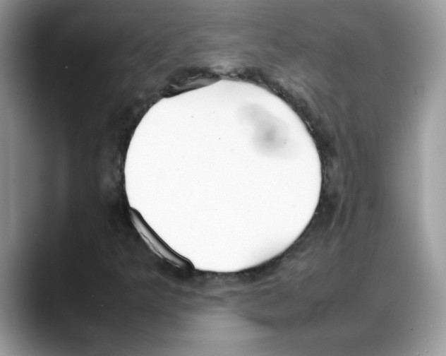 X0000088131349200706111400