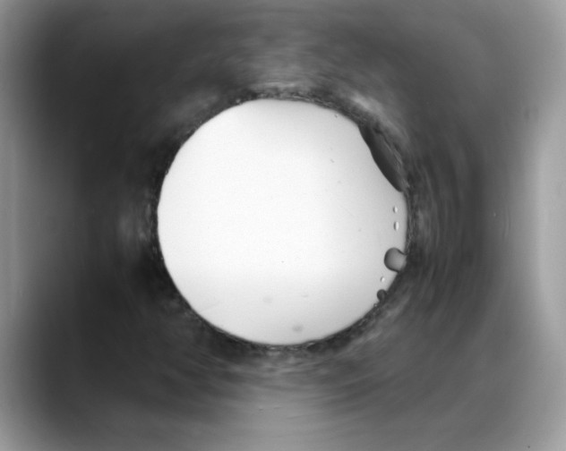 X0000088131350200706111400