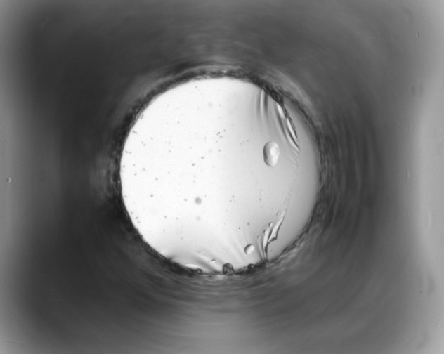 X0000088131352200706111400