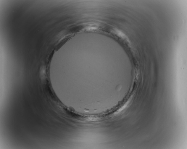 X0000088131353200706111400