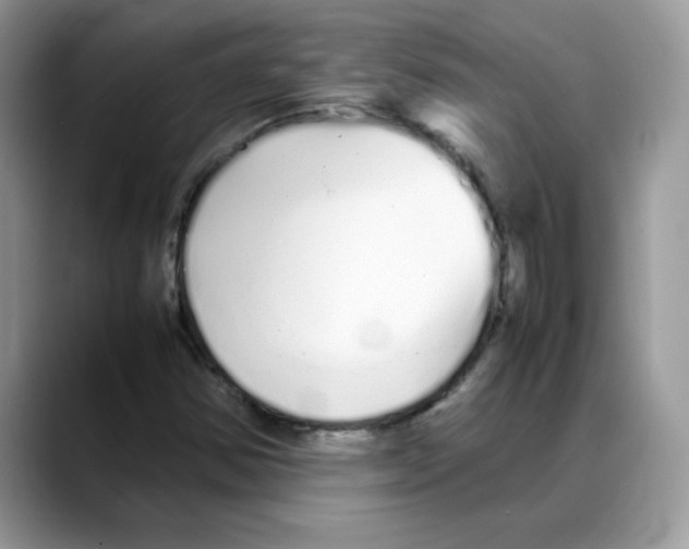 X0000088131354200706111400