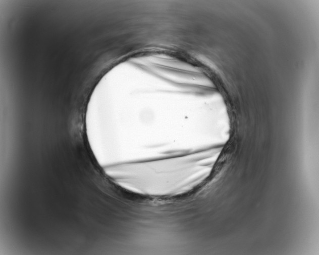 X0000088131355200706111400