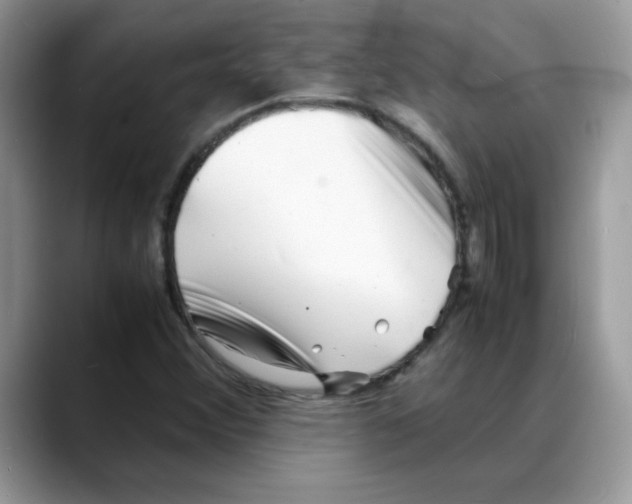 X0000088131356200706111400