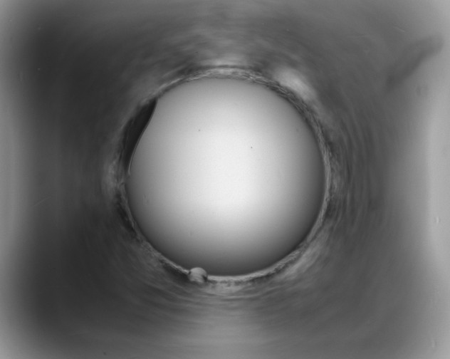 X0000088131357200706111400