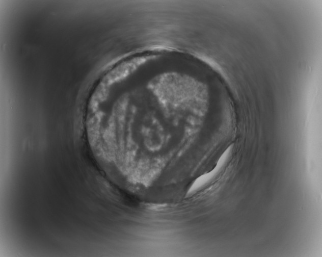 X0000088131359200706111400