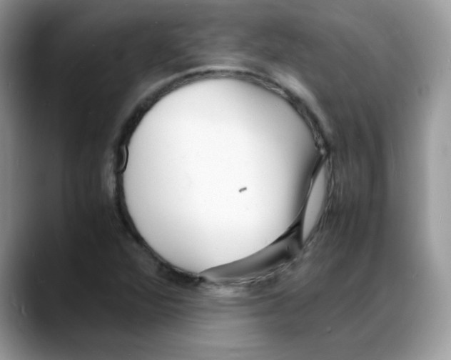 X0000088131360200706111400