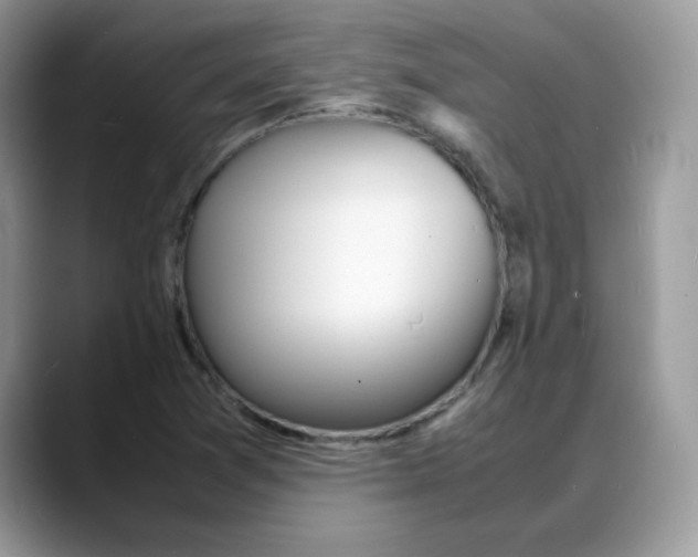 X0000088131361200706111400