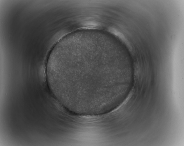 X0000088131362200706111400