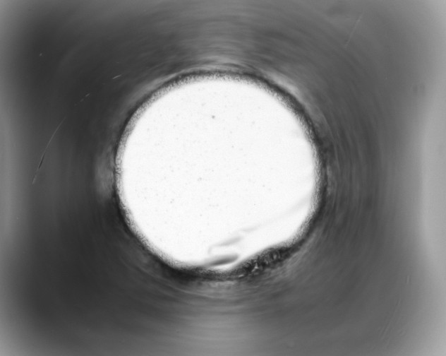 X0000088131363200706111400