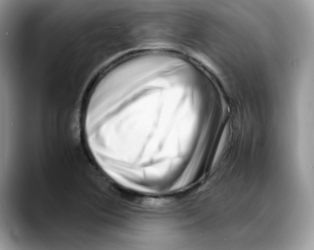 X0000088131364200706111400