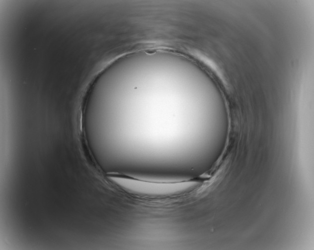 X0000088131365200706111400