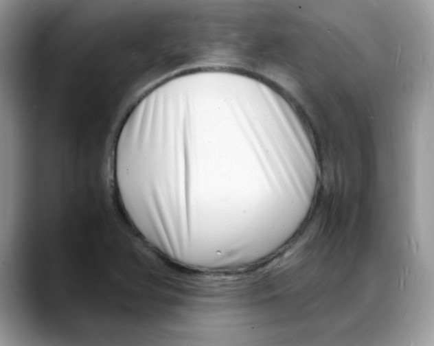 X0000088131366200706111400