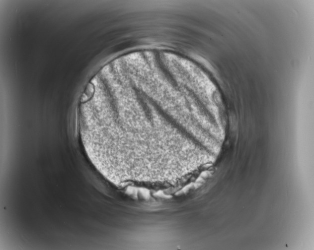 X0000088131371200706111400