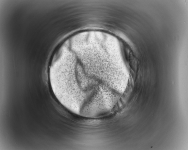 X0000088131372200706111400