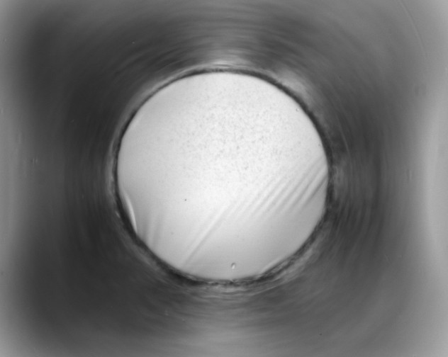 X0000088131374200706111400