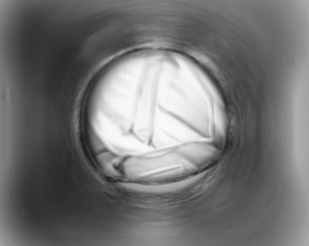 X0000088131375200706111400