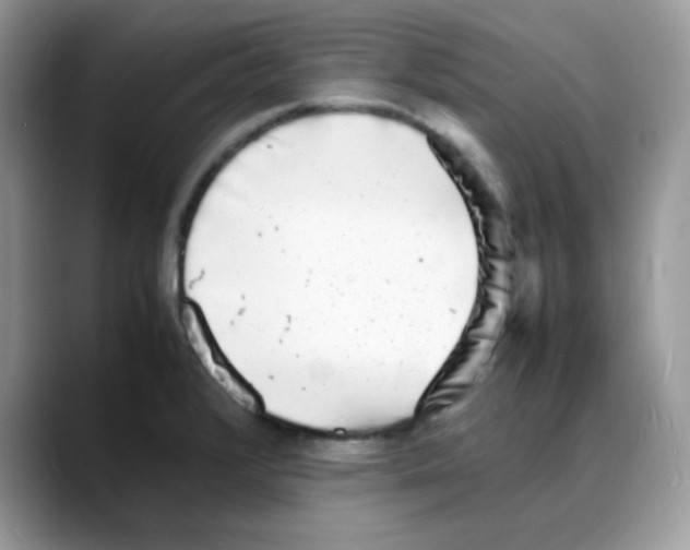 X0000088131376200706111359