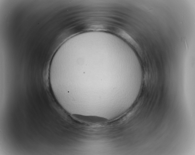 X0000088131378200706111359