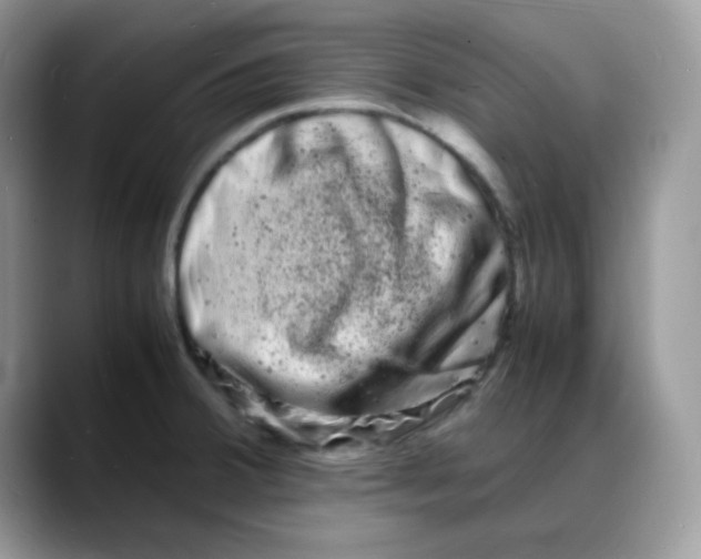 X0000088131380200706111359