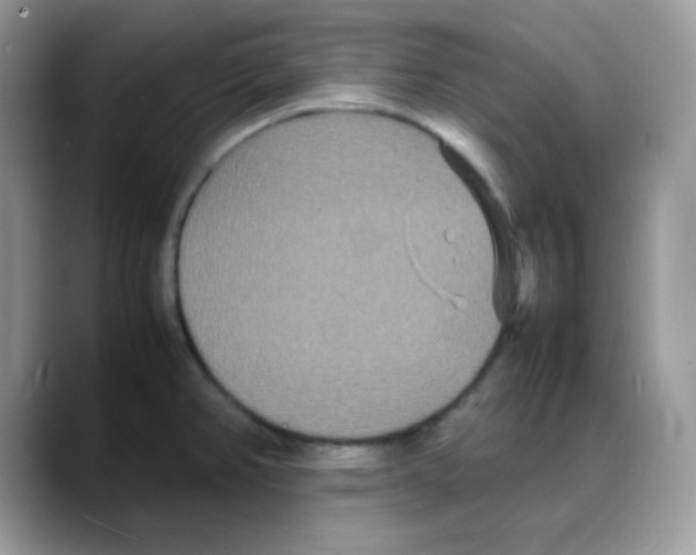 X0000088131382200706111359