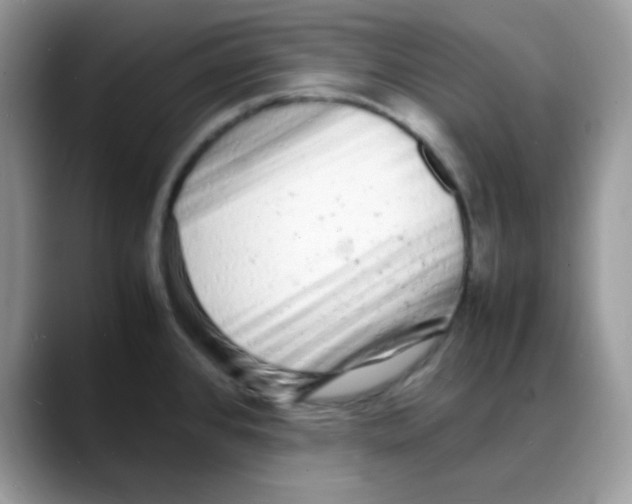 X0000088131384200706111359