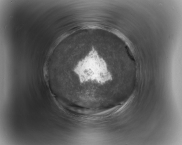 X0000088131385200706111359