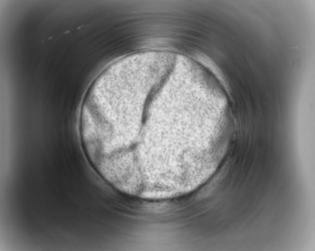 X0000088131386200706111359