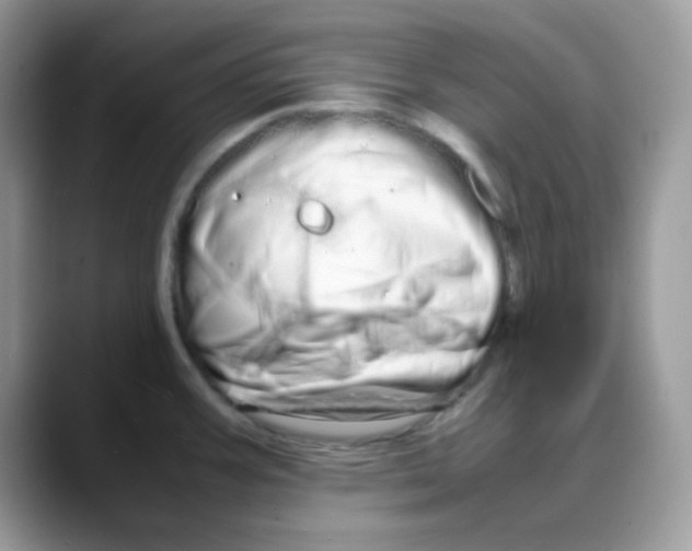 X0000088131387200706111359