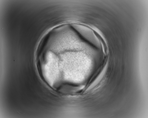 X0000088131389200706111359