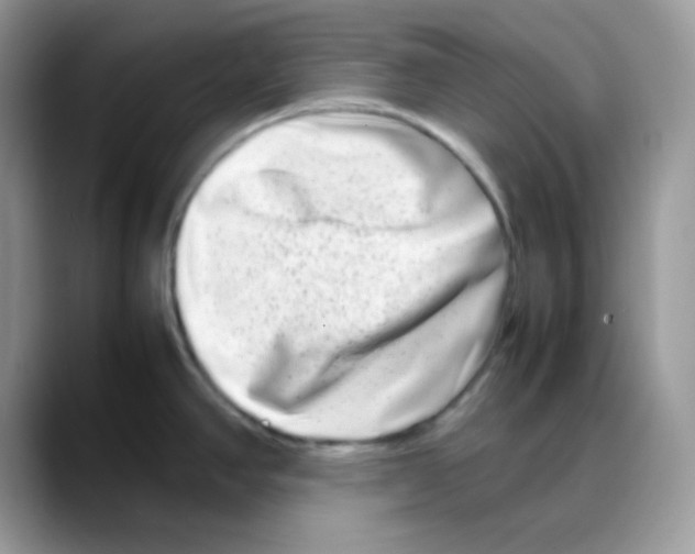 X0000088131390200706111359