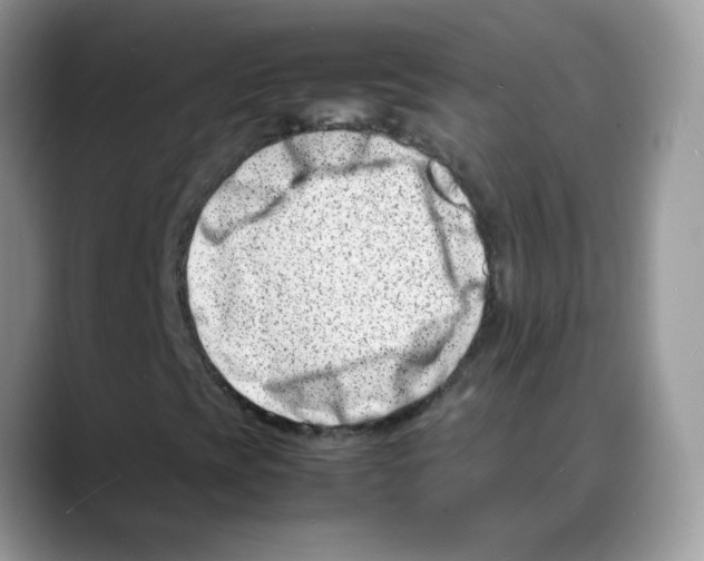 X0000088131393200706111359