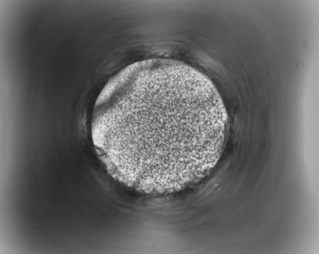 X0000088131394200706111359