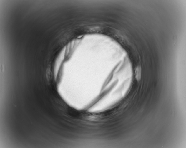 X0000088131395200706111359