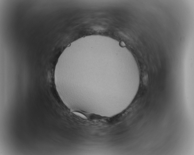 X0000088131397200706111359