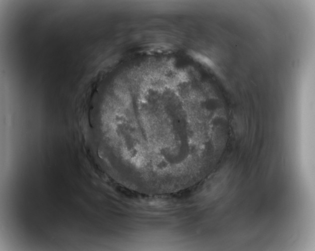 X0000088131399200706111359