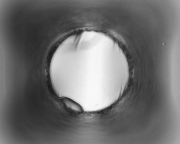 X0000088131400200706111359