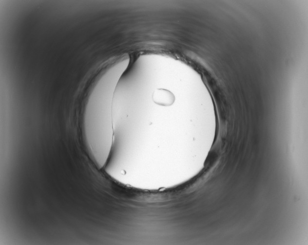 X0000088131402200706111359