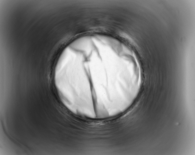 X0000088131403200706111359