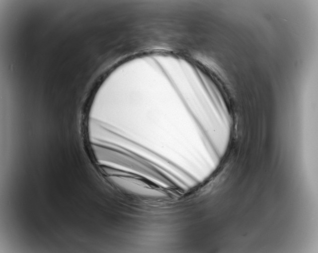 X0000088131404200706111359