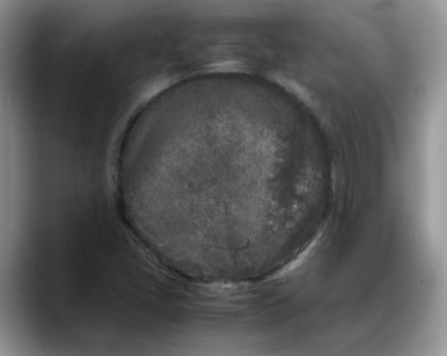 X0000088131405200706111359