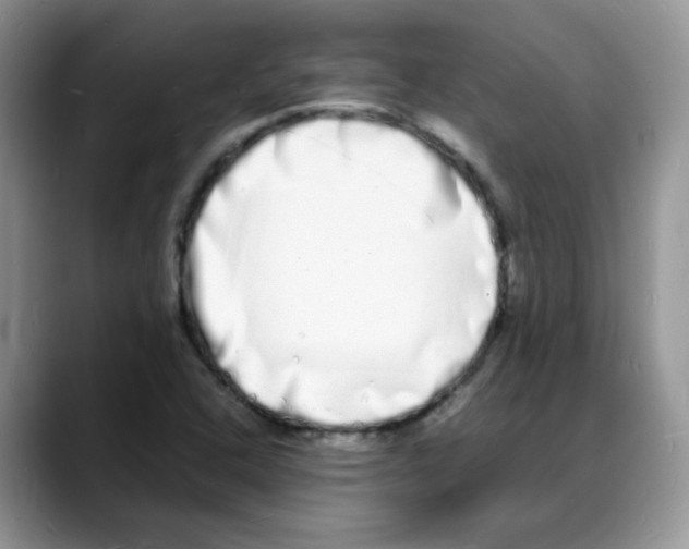 X0000088131408200706111359