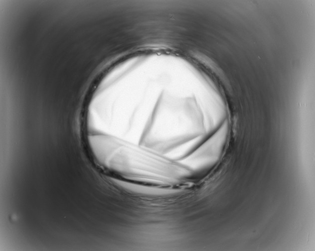 X0000088131412200706111359