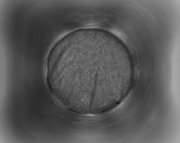 X0000088131413200706111359